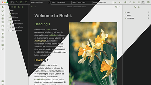 Reshi Obsidian theme screenshot